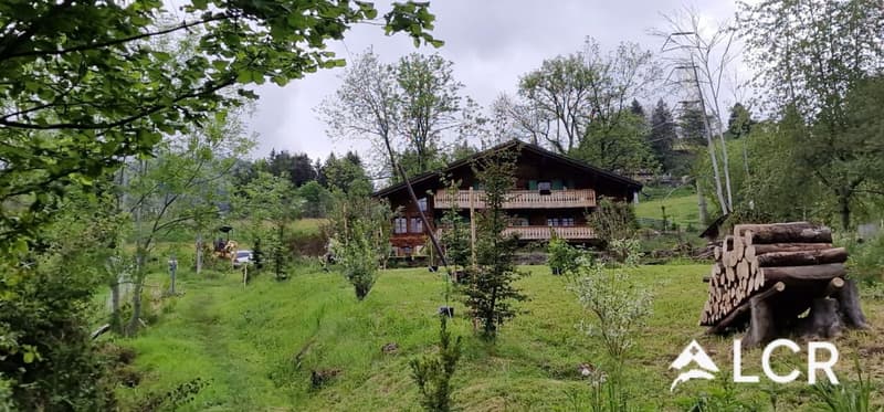 Beautiful and large individual chalet of 200m2 with land of 800m2 and its adjacent studio (3)