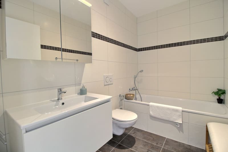 In affitto - Meraviglioso duplex 3.5 locali a Marly (FR) (8)