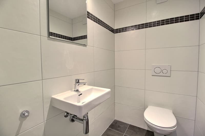 In affitto - Meraviglioso duplex 3.5 locali a Marly (FR) (9)