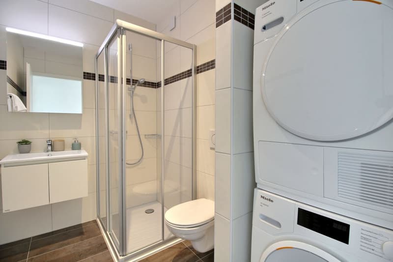 In affitto - Meraviglioso duplex 3.5 locali a Marly (FR) (10)