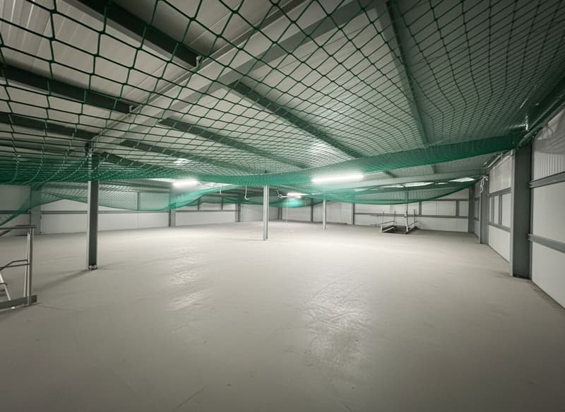 For sale - Mixed industrial hall with excellent return in Aigle (8)