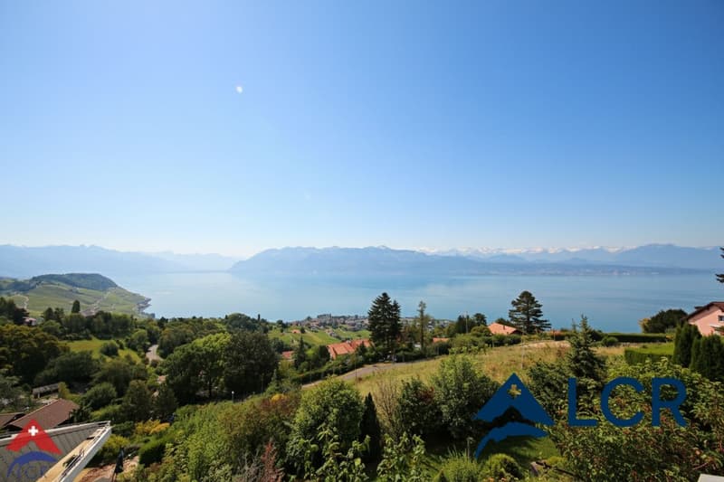 Splendide villa individuelle de 7.5 pièces avec vue panoramique sur le lac - Grandvaux (2)