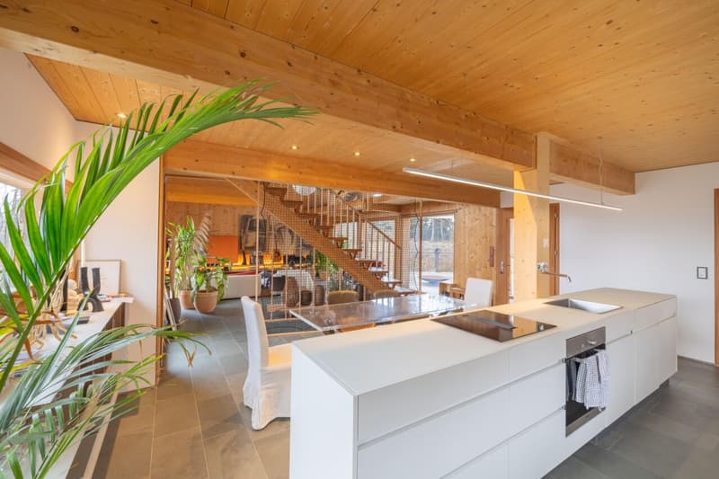 Magnificent architect-designed villa with 3 bedrooms on the edge of the forest in Saint-Cergue (6)