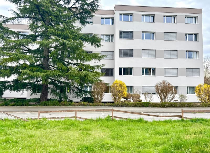 Bel appartement meublé avec grande terrasse dans quartier calme à Nyon (13)