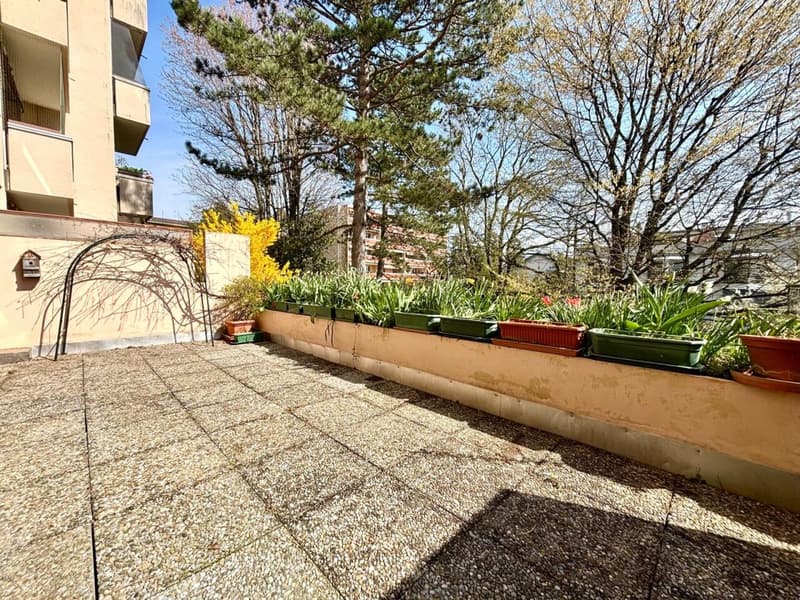 Bel appartement meublé avec grande terrasse dans quartier calme à Nyon (11)