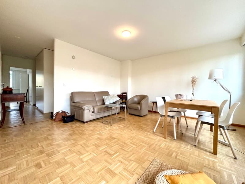 Bel appartement meublé avec grande terrasse dans quartier calme à Nyon (3)