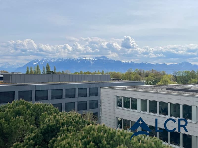 Bel appartement pour courte durée à Lausanne / meublé / 3 CHB / 2 SDB / 1 terrasse (9)
