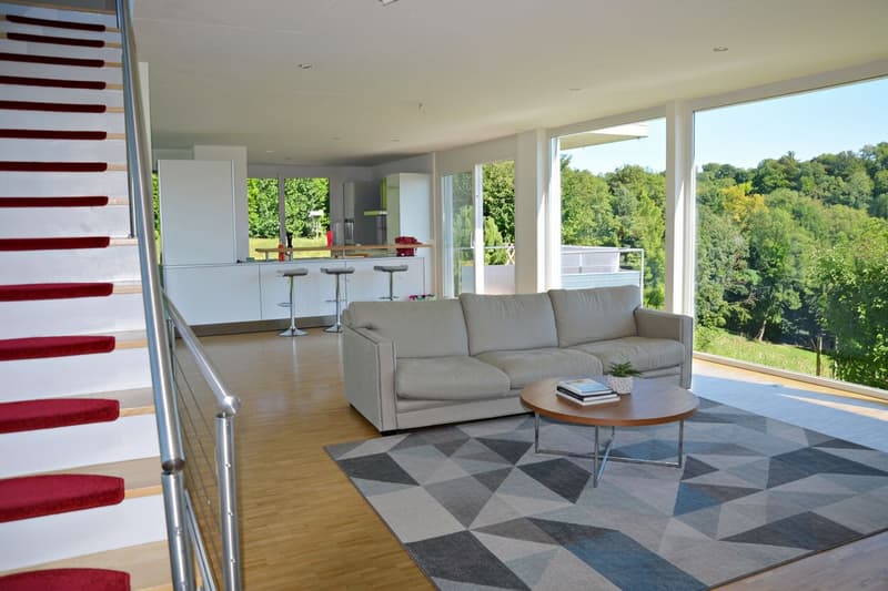 Bellissima villa con piscina e grande giardino a Vufflens-le-Château (4)