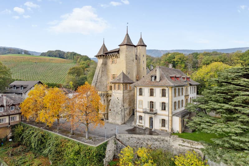 Appartamento des Châtelains, 6,5 locali / Vaumarcus (2)