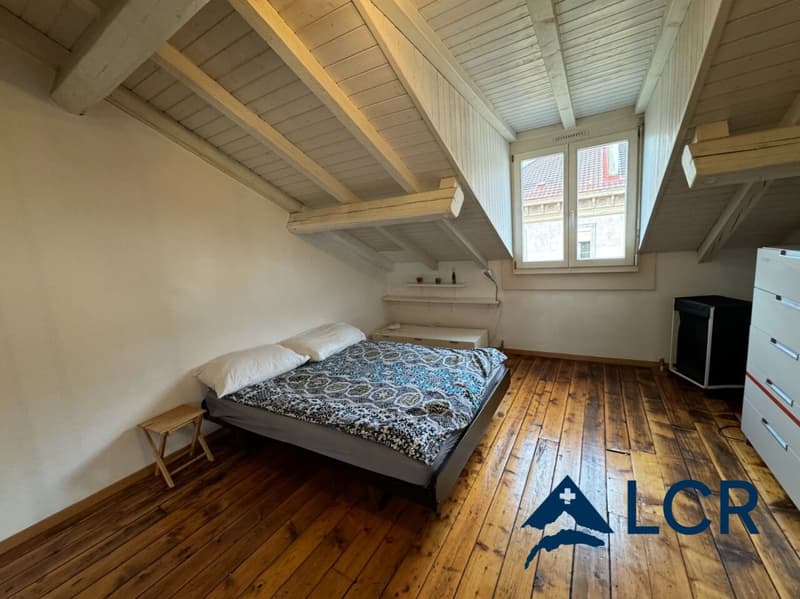 Meraviglioso appartamento arredato di 4 locali / 2 camere da letto / 1 bagno / centro di Ginevra (3)