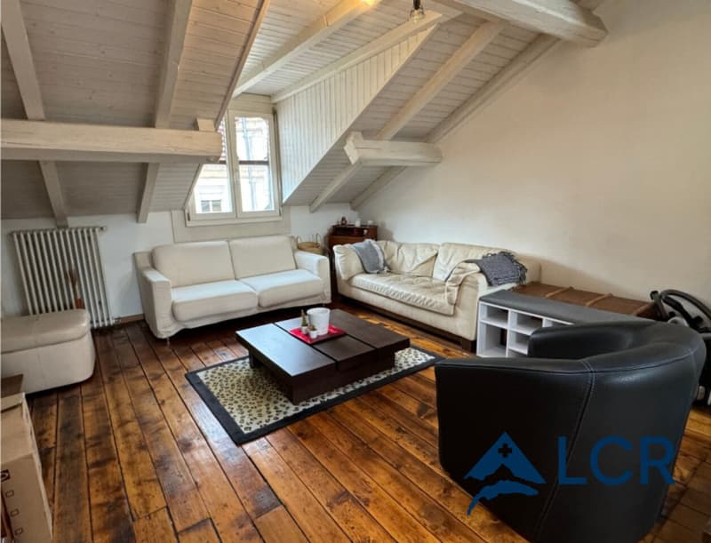 Meraviglioso appartamento arredato di 4 locali / 2 camere da letto / 1 bagno / centro di Ginevra (1)