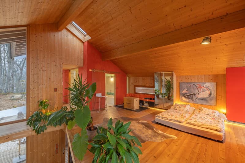 Magnifique Villa mit 3 Zimmern am Waldrand in Saint-Cergue (12)