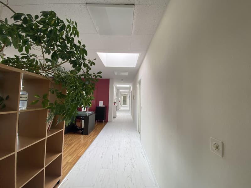 Grande ufficio a Neuchâtel / studio medico (7)