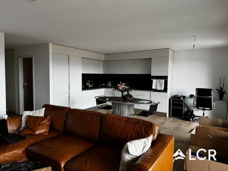Meraviglioso Appartamento di 3.5 Locali / 2 Camere da Letto / 2 Bagni / 1 Balcone (3)