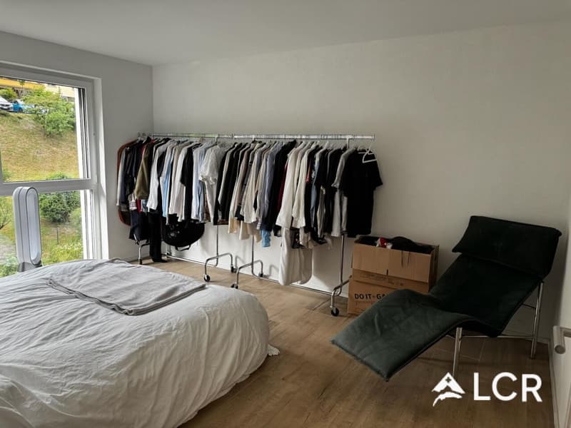 Meraviglioso Appartamento di 3.5 Locali / 2 Camere da Letto / 2 Bagni / 1 Balcone (6)