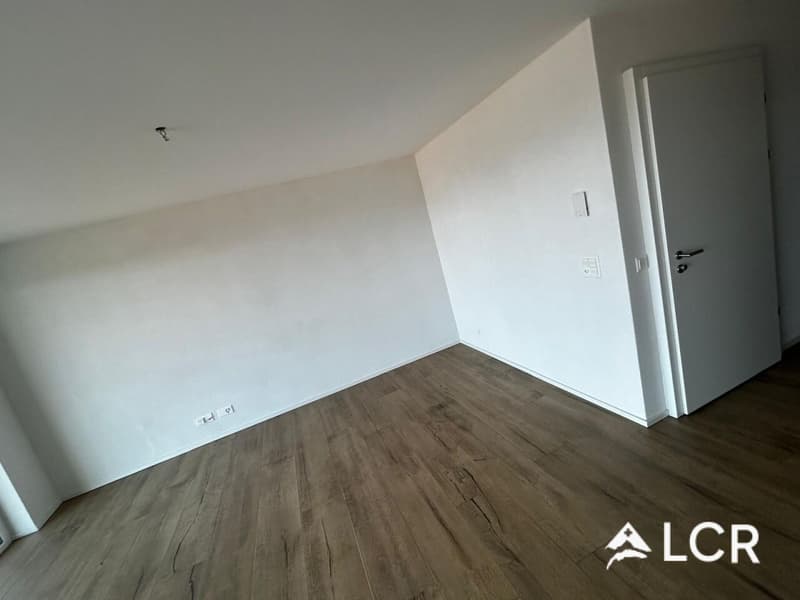 Meraviglioso Appartamento di 3.5 Locali / 2 Camere da Letto / 2 Bagni / 1 Balcone (7)