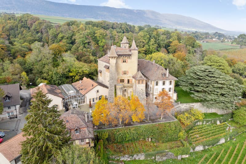 Bureau/atelier/local de 96m² au Château de Vaumarcus (1)