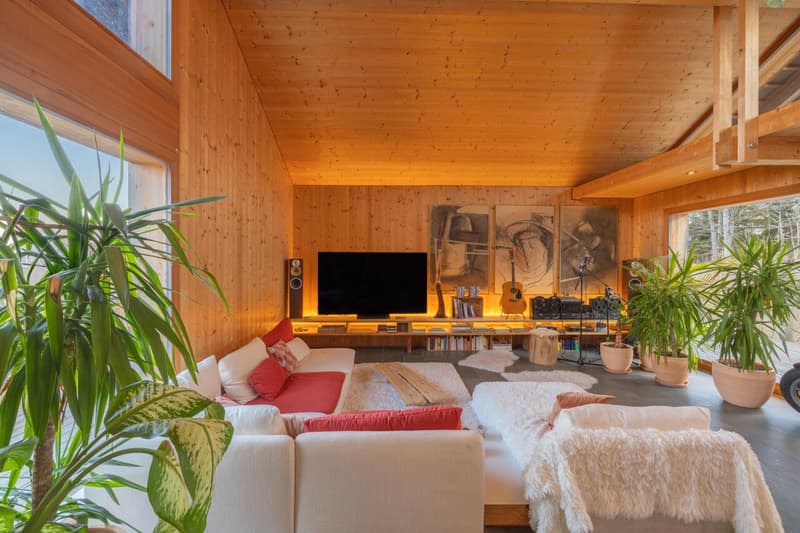 Magnifica villa di architetto con 3 camere sul bordo del bosco a Saint-Cergue (4)