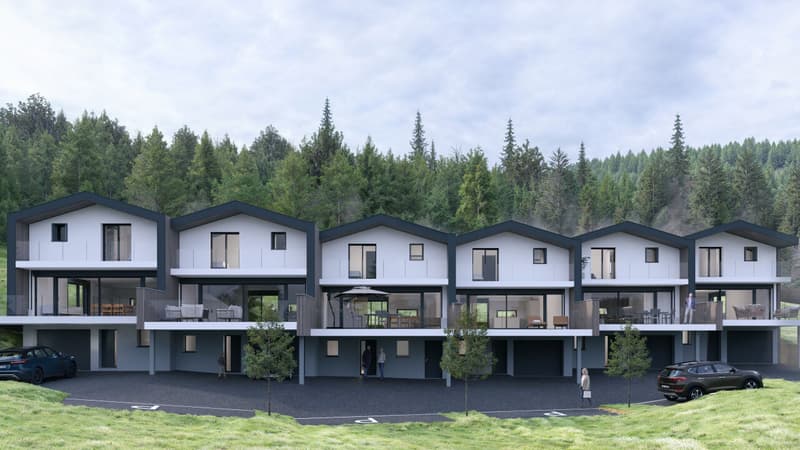 Magnificent Semi-Detached New House in Sion / Vex / Photovoltaic Panels (2)