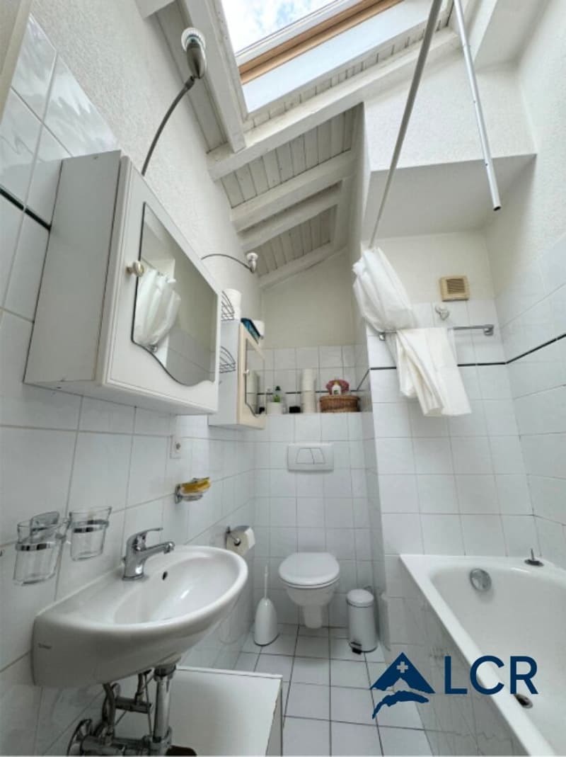 Meraviglioso appartamento arredato di 4 locali / 2 camere da letto / 1 bagno / nel cuore di Ginevra (5)