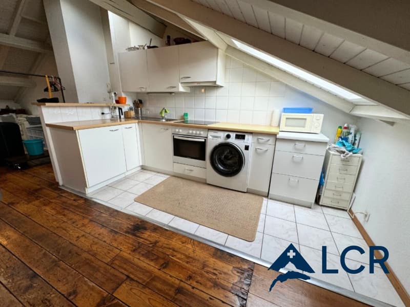 Meraviglioso appartamento arredato di 4 locali / 2 camere da letto / 1 bagno / nel cuore di Ginevra (2)