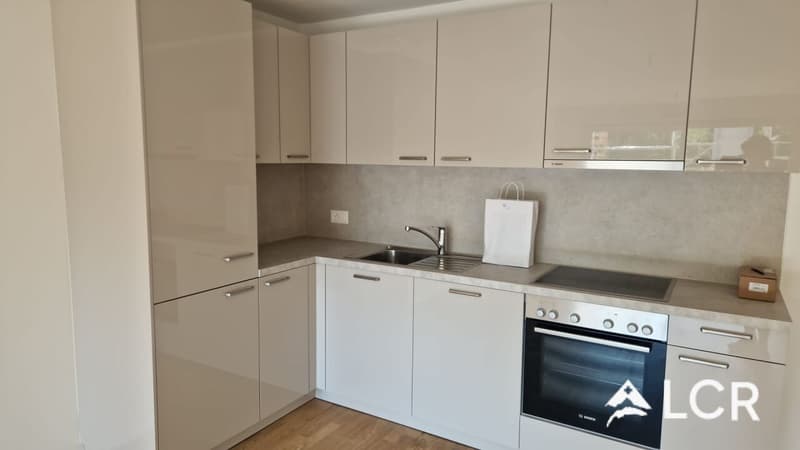 Schönes neues 2.5-Zimmer-Apartment / 1 Schlafzimmer / 1 Badezimmer / 1 Balkon (2)
