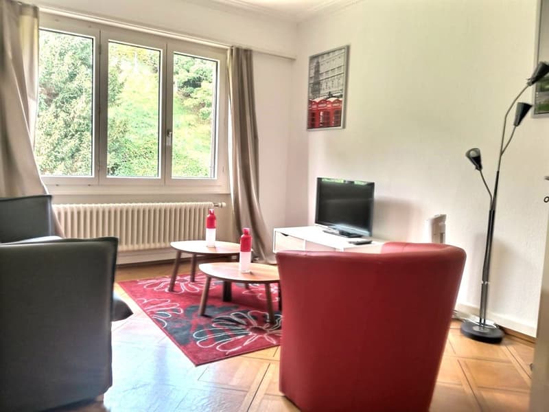 Bello appartamento arredato a Losanna / 3.5 locali / 2 camere da letto / 1 bagno / 1 balcone (3)