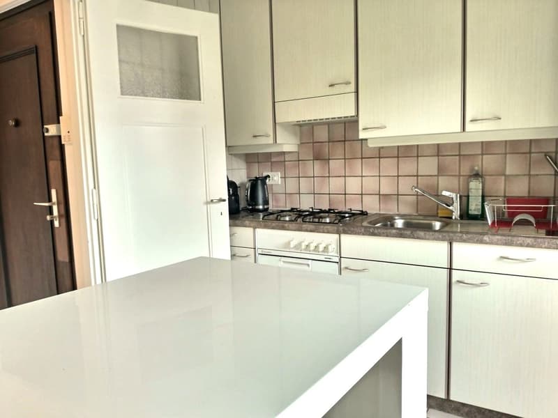 Bello appartamento arredato a Losanna / 3.5 locali / 2 camere da letto / 1 bagno / 1 balcone (6)