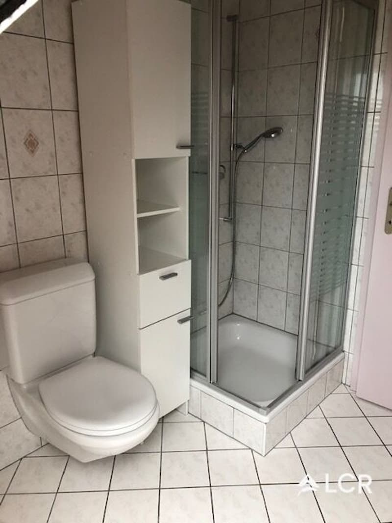 Bello duplex a Coffrane, 3.5 locali (4)