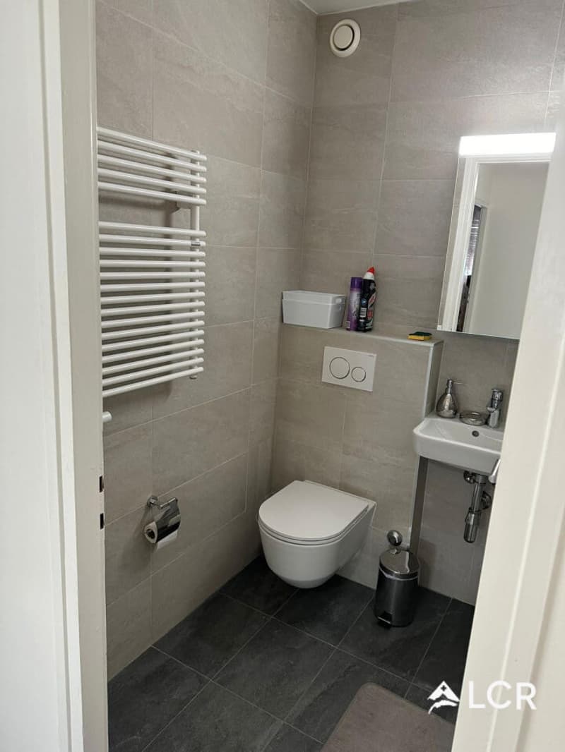 Bel appartement de 2.5p à Genève (4)