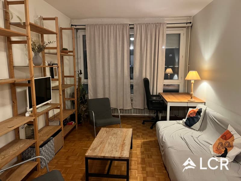 Bello appartamento a Ginevra // 2.5 locali (2)