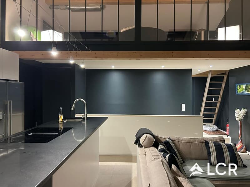 Schönes neues 4-Zimmer-Apartment mit Garten - Attalens (5)