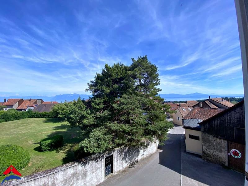 Schönes 4,5 Zimmer Apartment renoviert - Ruhig - ca. 100m2 (1)