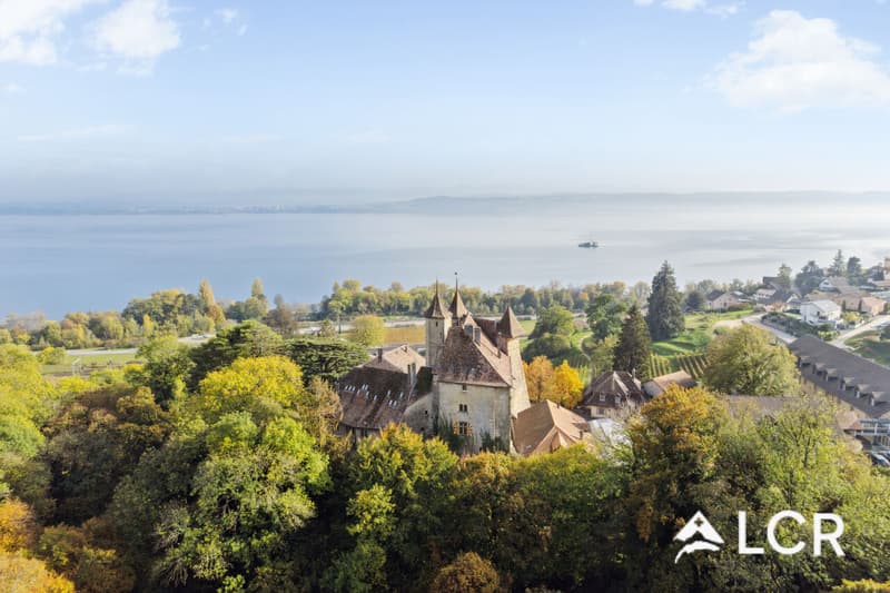 217m² Raum im ehemaligen Reitstall von Schloss Vaumarcus (9)