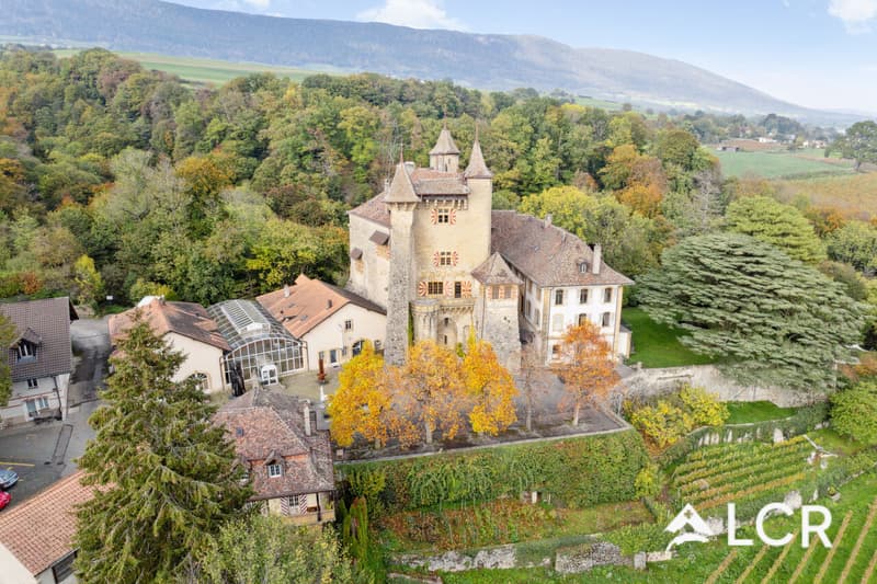 217m² Raum im ehemaligen Reitstall von Schloss Vaumarcus (11)