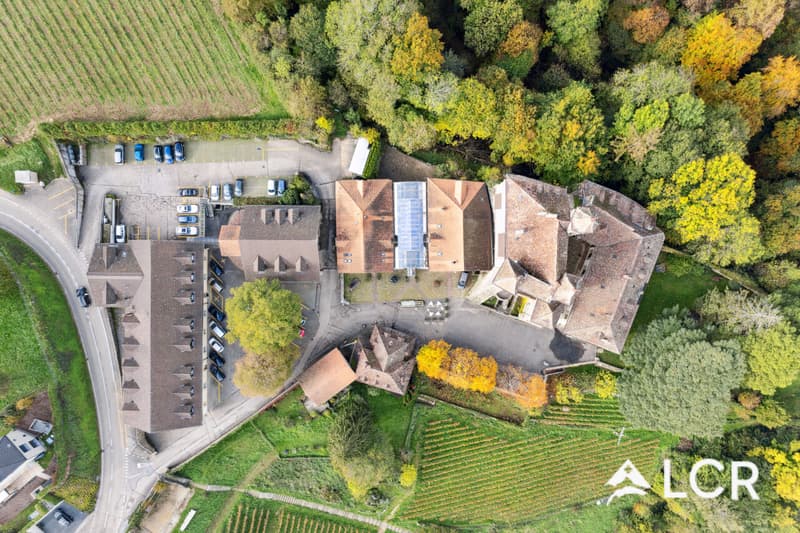 217m² Raum im ehemaligen Reitstall von Schloss Vaumarcus (10)