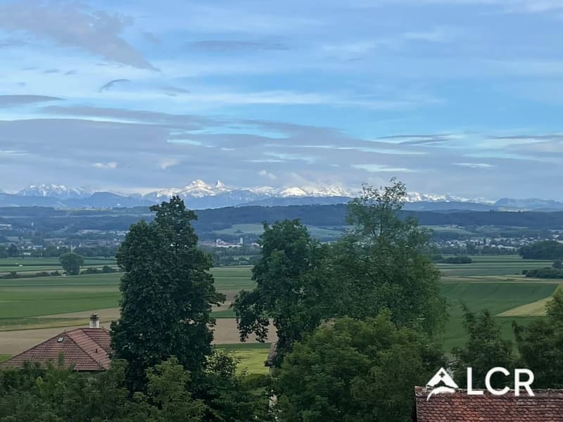 Bello appartamento di 4.5 locali a Grandcour (8)