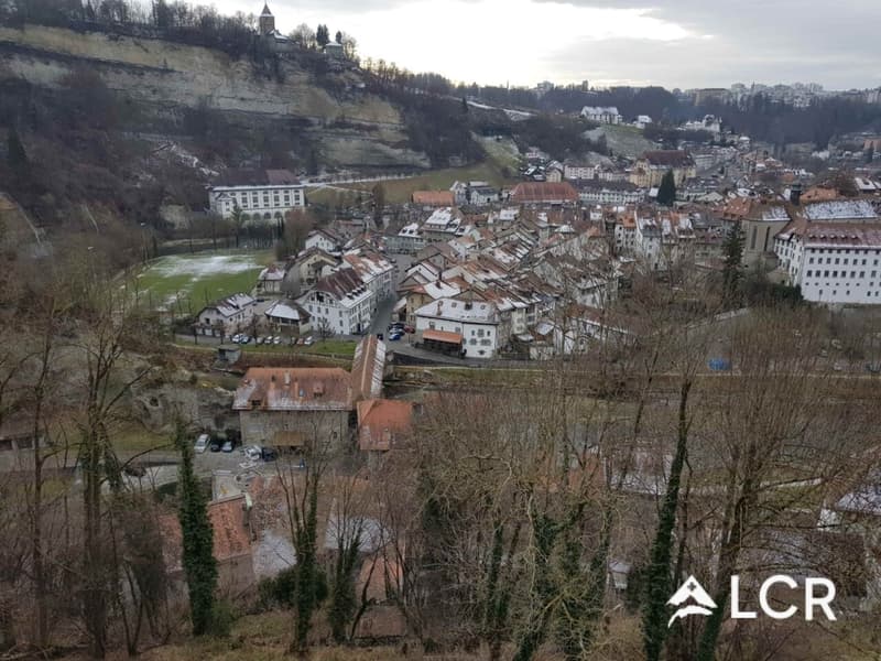 Bel appartement de 5.5P / 4 CHB / 2 SDB / 2 Balcons (13)