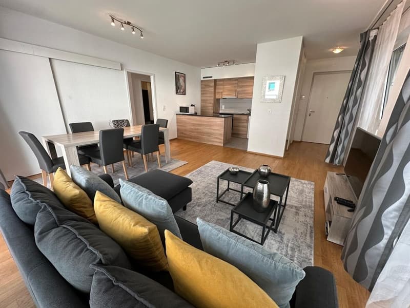 Superbe appartement meublé 5 pièces (1)