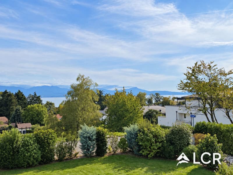 Magnifique appartement meublé de 4,5 pièces - Terrasse - Vue lac (1)