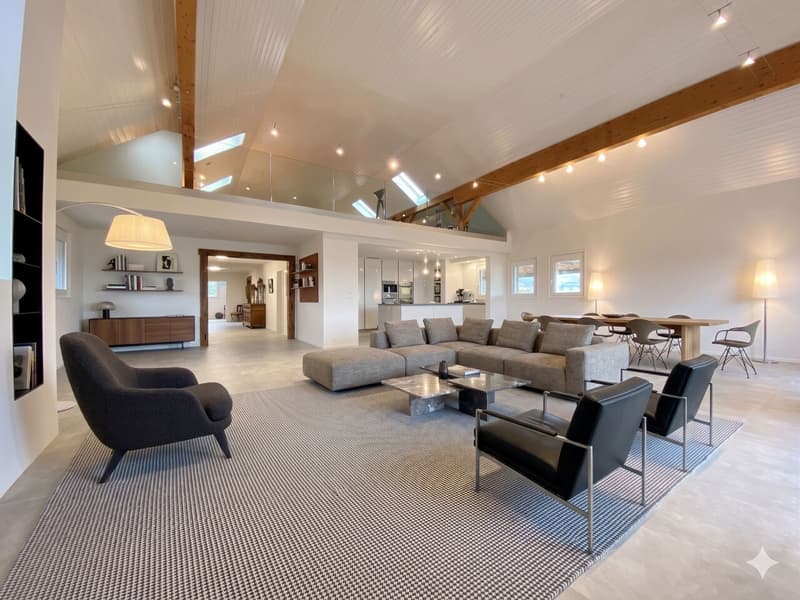 Splendide duplex de 6,5 pièces en attique - Vue sur le Mont-Blanc - 10 minutes de Nyon (1)
