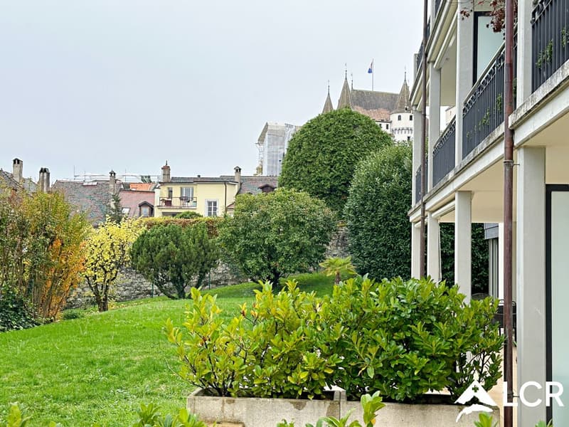 Magnifique 3,5 pièces meublé avec terrasse et petit jardin (9)
