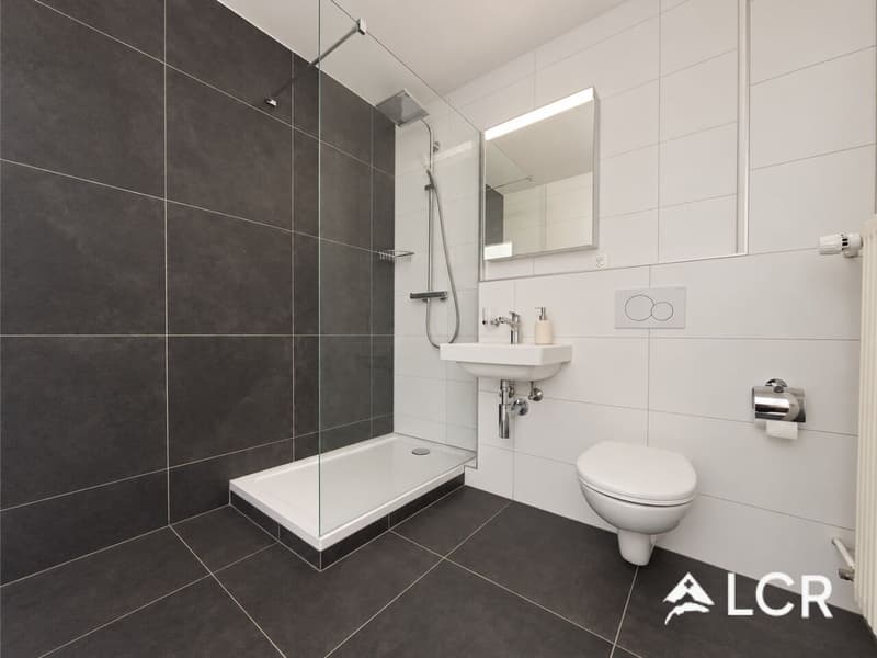 Bel appartement rénové de 4.5 pièces au coeur d'un secteur prisé / 3 CHB / 1 SDB / 1 Terrasse (6)