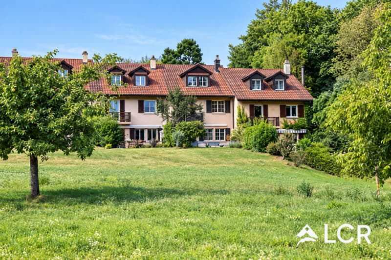 Magnifique maison rénovée avec jardin (1)