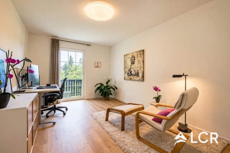Magnifique maison rénovée avec jardin (11)