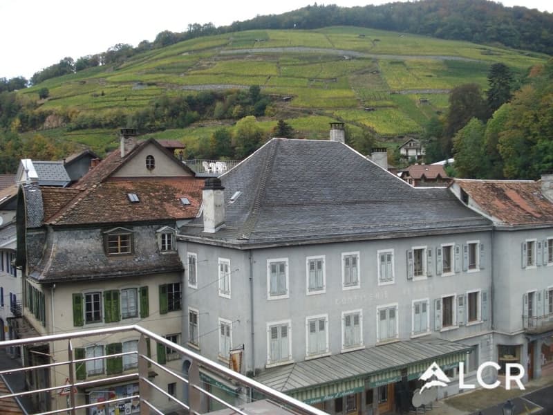 Bel immeuble de rendement / 5 appartements / 2 locaux (2)