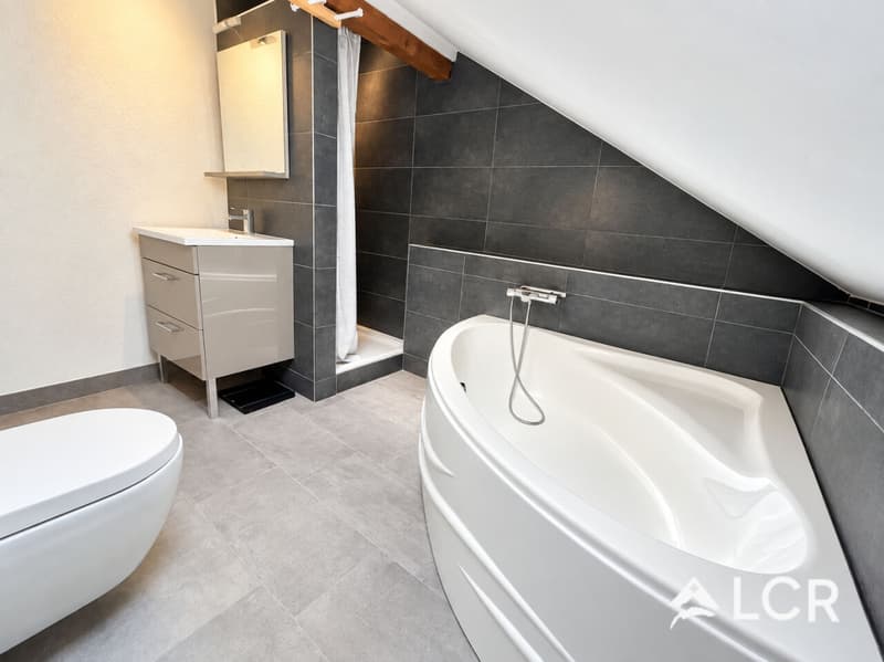 Bel appartement de 6.5p à Chézard-st-Martin (7)