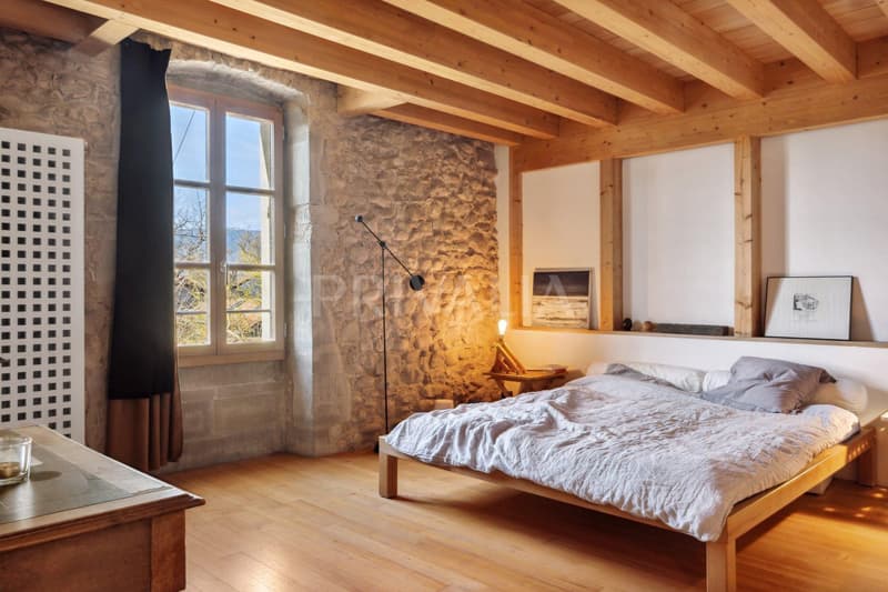 Rare object: Beautifully renovated farmhouse in Sézegnin (6)