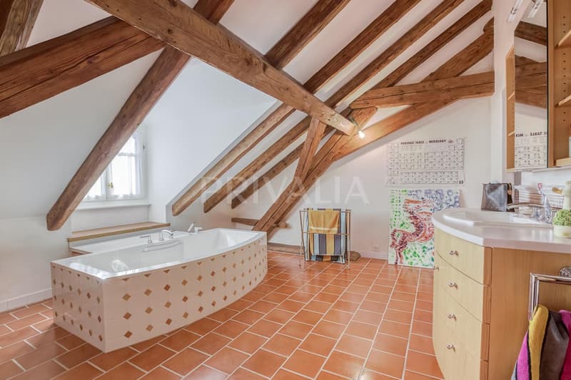 Lussuosa dimora del XIX secolo con piscina (13)