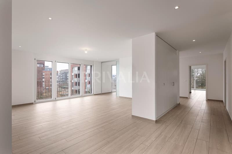 Ampio appartamento contemporaneo in un quartiere residenziale a Conches (3)